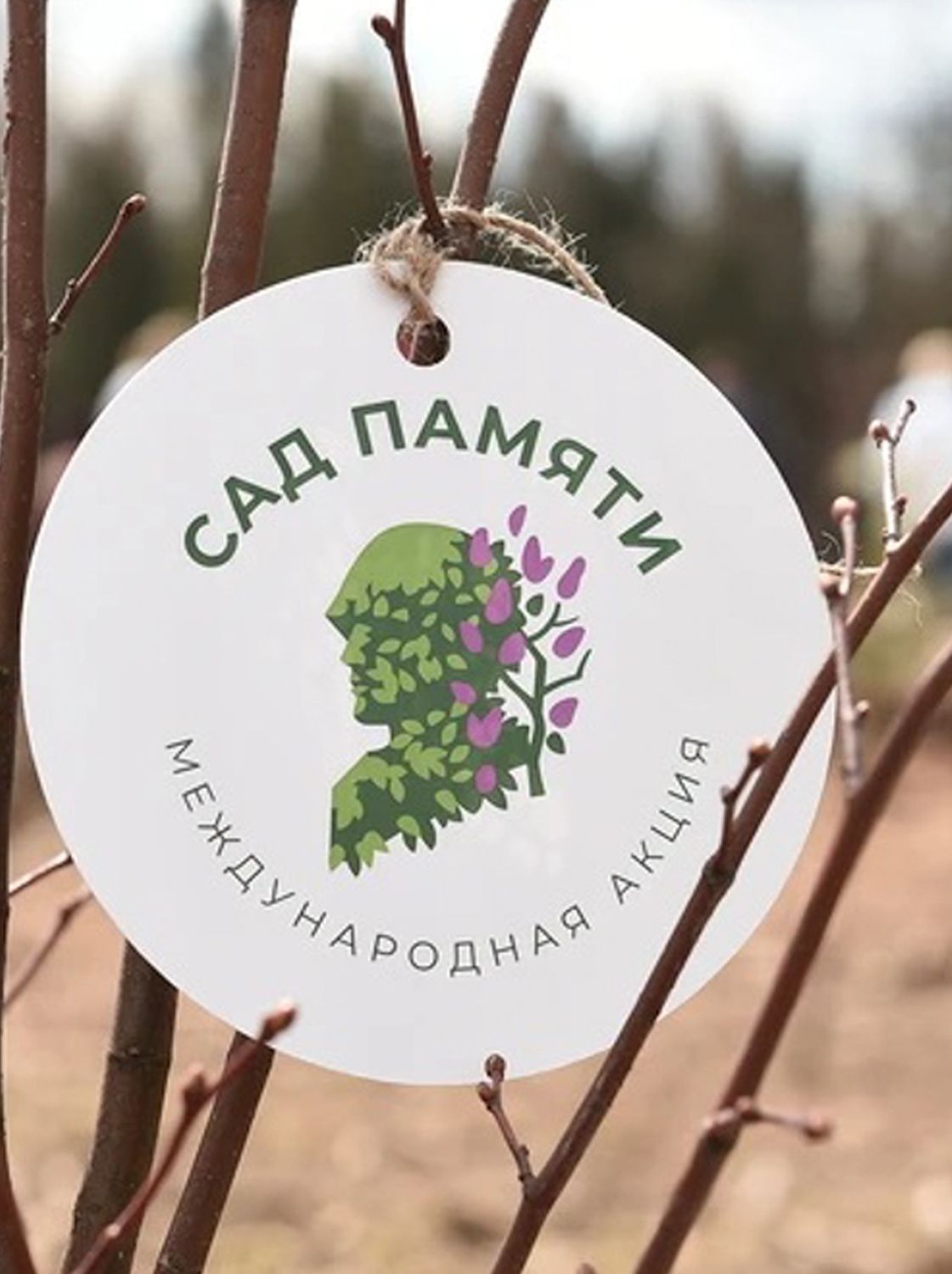 Лес Победы Лес Победы